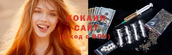 шишки Михайлов