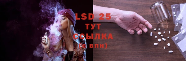 шишки Михайлов