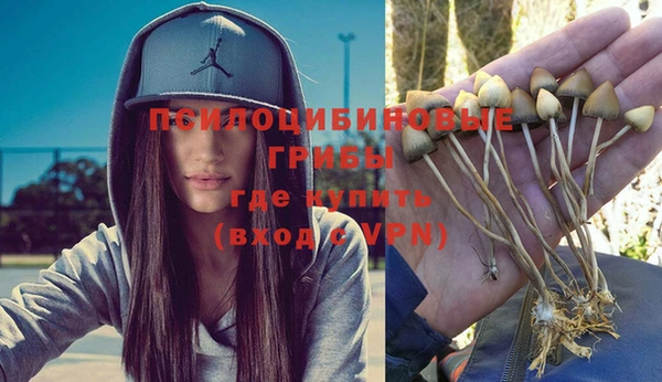 мяу мяу кристалл Медвежьегорск