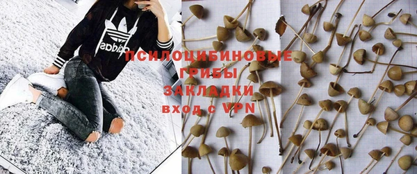 дмт Михайловка