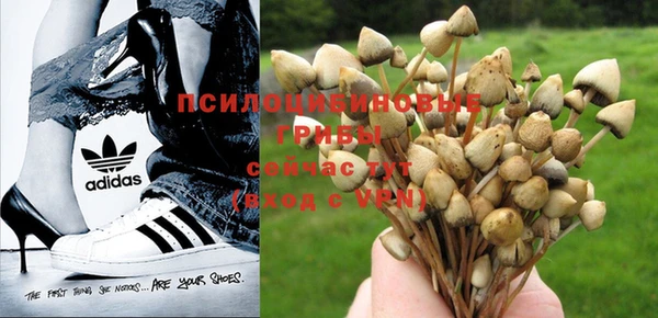 spice Михайловск