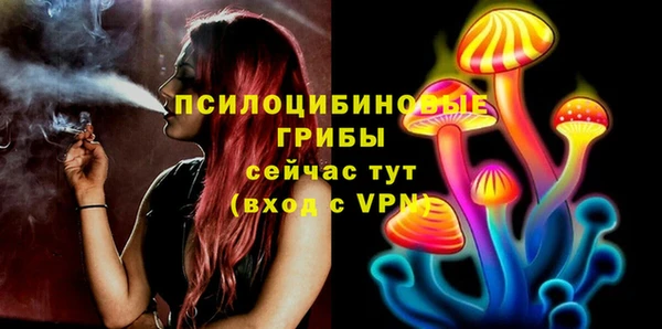 spice Михайловск