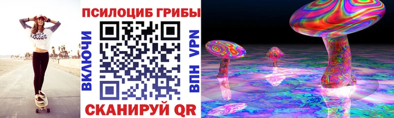 Псилоцибиновые грибы мицелий  Саров 