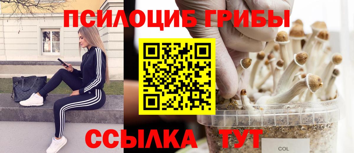 Галлюциногенные грибы Magic Shrooms  Вход с VPN  Саров 